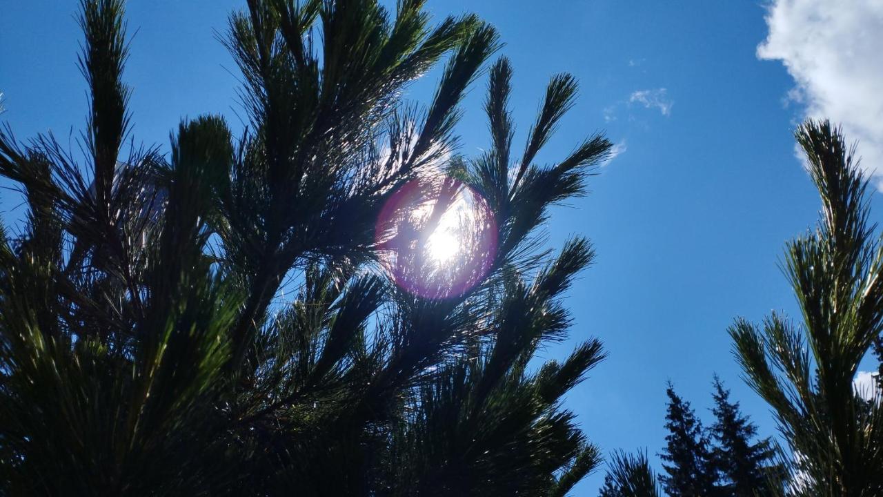 Хижа Ловна В Рила Panichishte Buitenkant foto