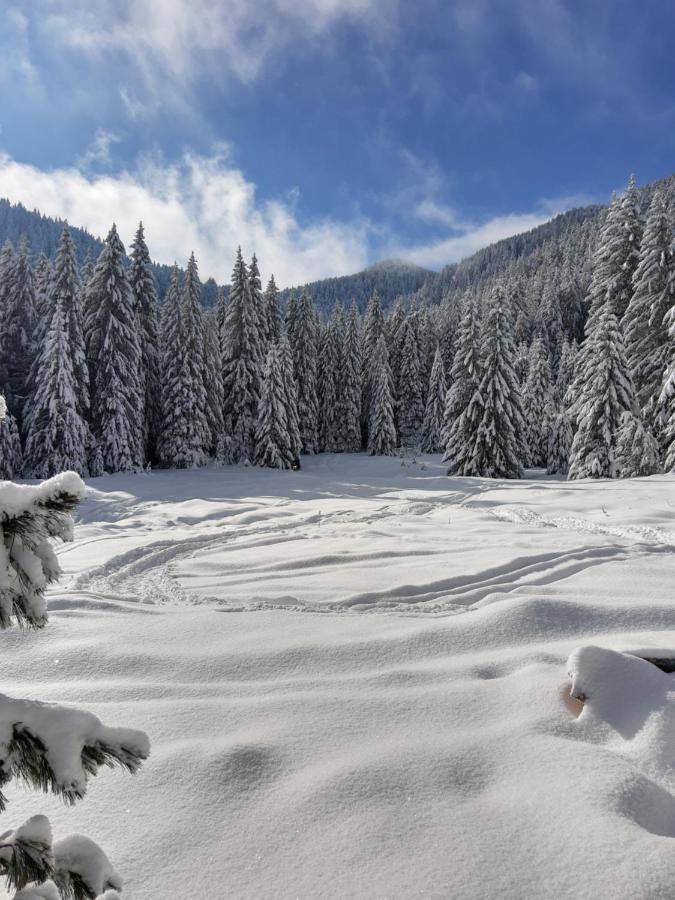 Хижа Ловна В Рила Panichishte Buitenkant foto