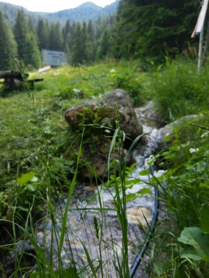 Хижа Ловна В Рила Panichishte Buitenkant foto