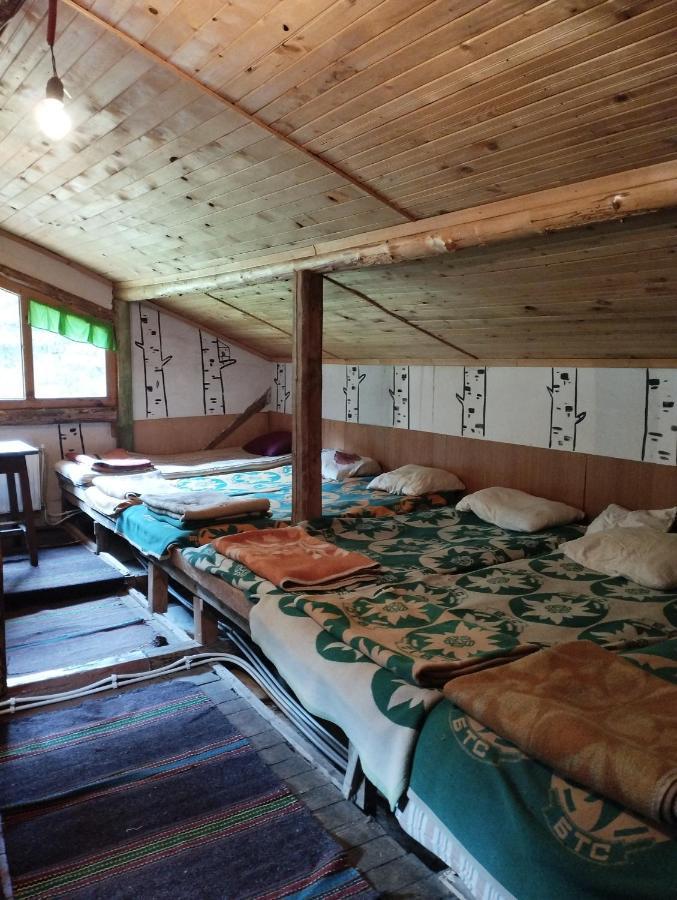 Хижа Ловна В Рила Panichishte Buitenkant foto